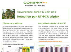 Image première page newsletter 4 coniphy