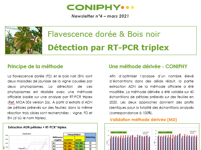 Image première page newsletter 4 coniphy